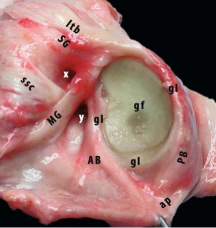 1760434062315598.png 图片5.png