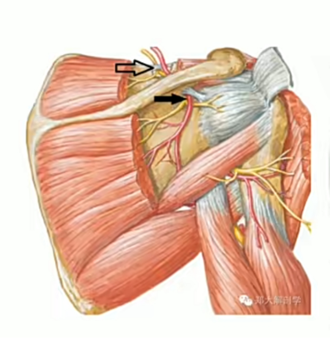 1764926000743962.png 图片1.png