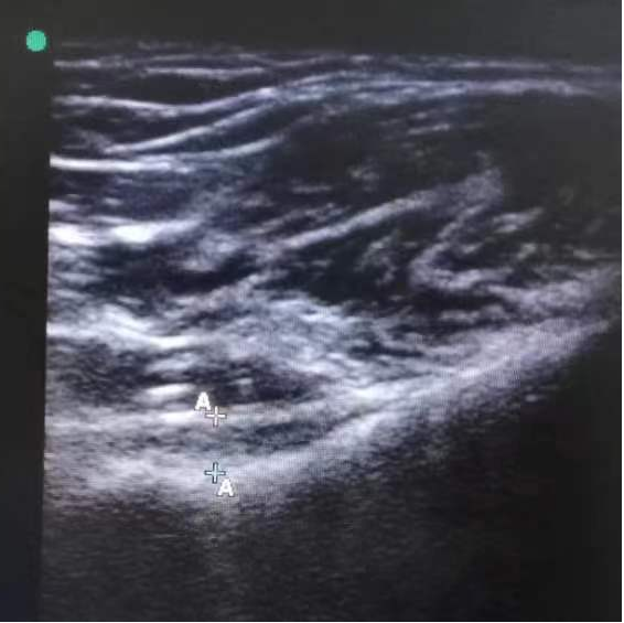 1765523855920330.png 图片1.png